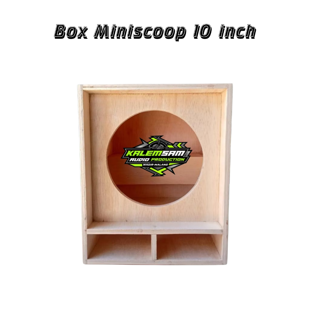 Box Speaker Miniscoop 10 inch murah