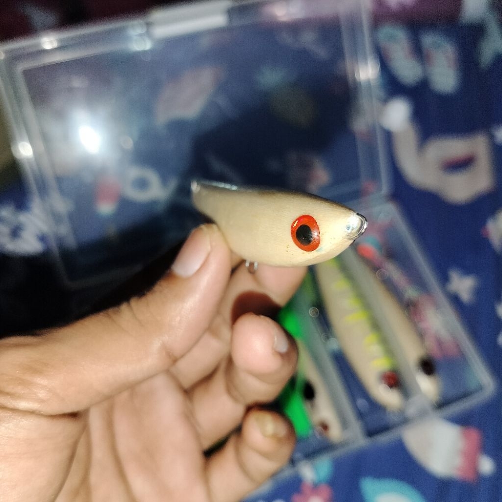 WTD bengkok 30 gram / Minnow Top Water / WTD killer