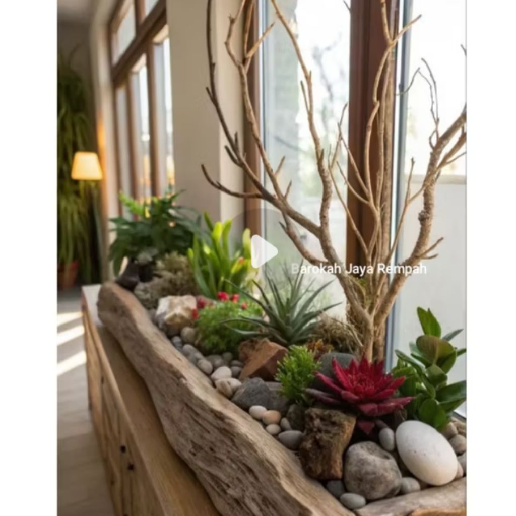 tangkringan ranting kayu untuk hiasan/dekorasi tinggi -+150cm