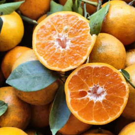 JERUK MADU BALI FRESH 1 KG