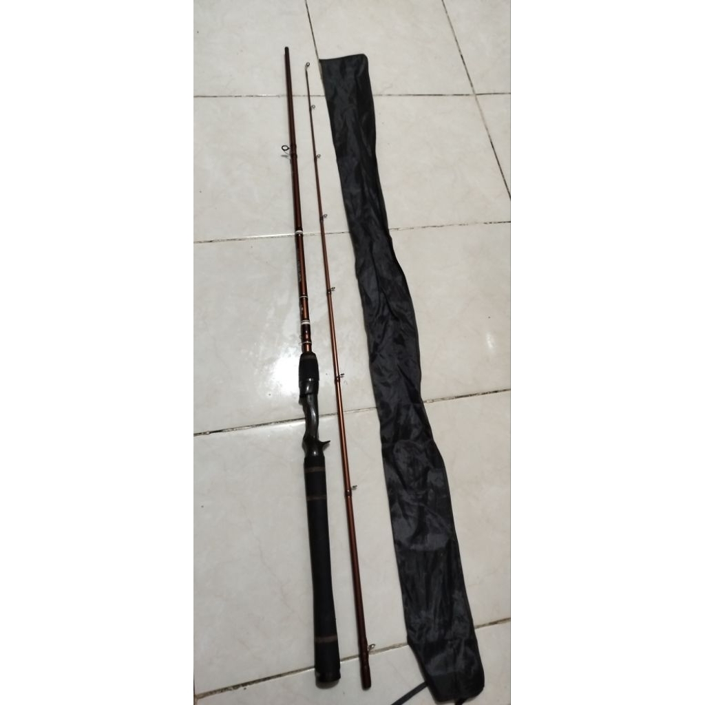 joran bc fenwick lukerstik 662_8-16 lb