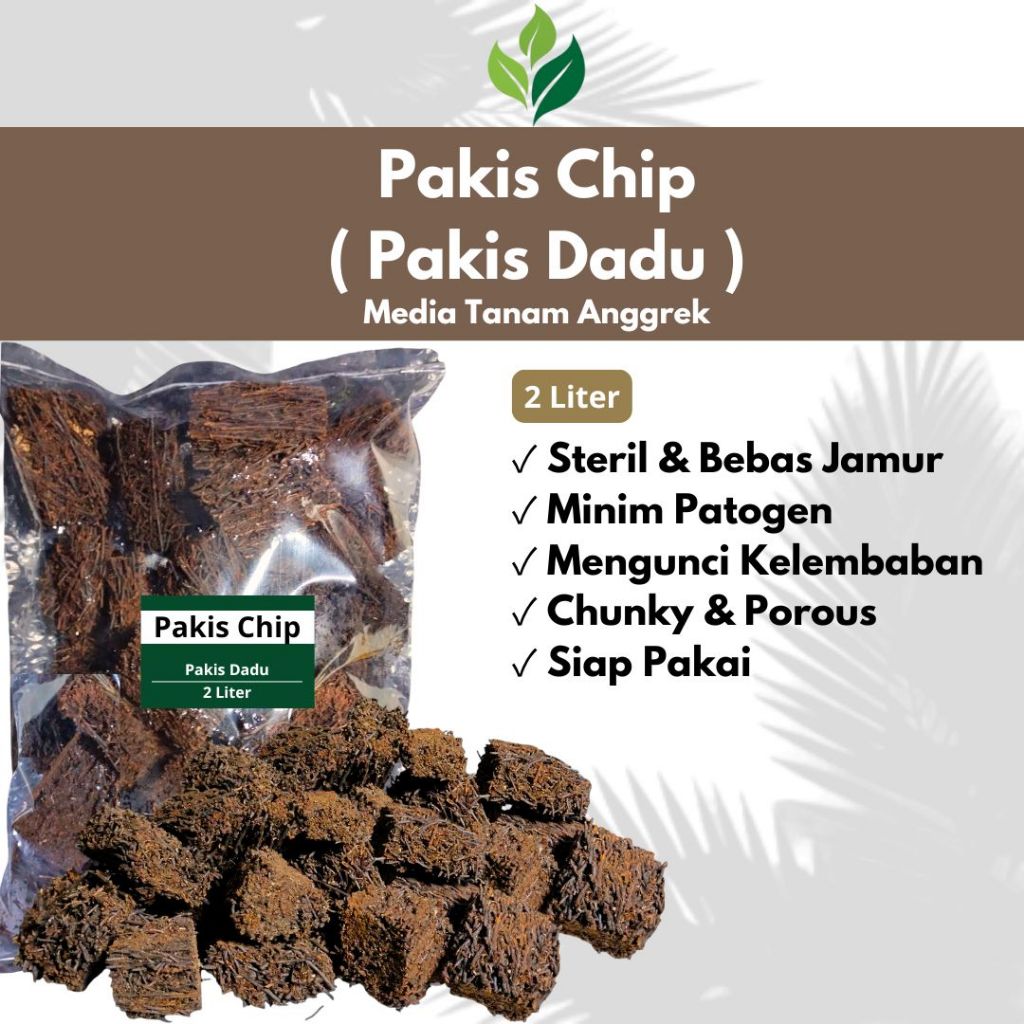 Infarm Japan - Pakis Chip Pakis Dadu Media Tanam Anggrek Pakis Media Tanam Anggrek 2 Liter