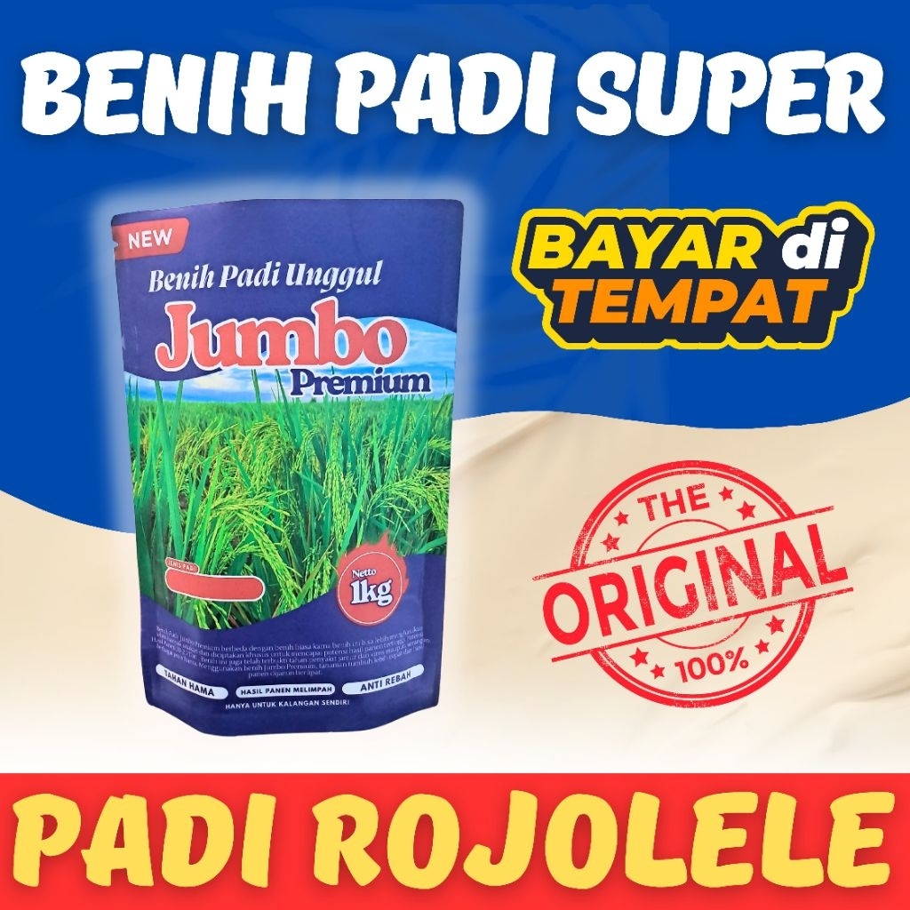 Benih Padi unggul ROJOLELE kemasan 1Kg kualitas bagus bibit padi unggul