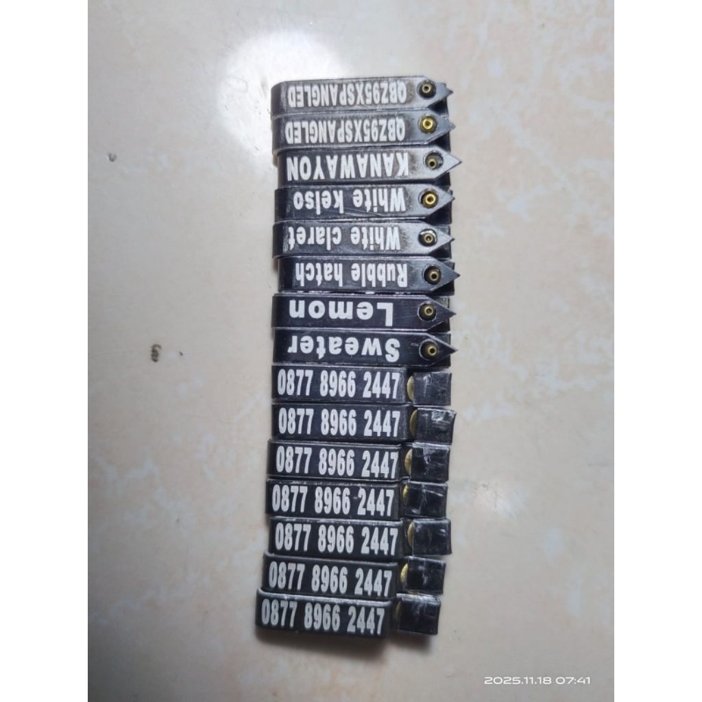 SEGEL SAYAP AYAM CAT PERMANEN GAK LUNTUR