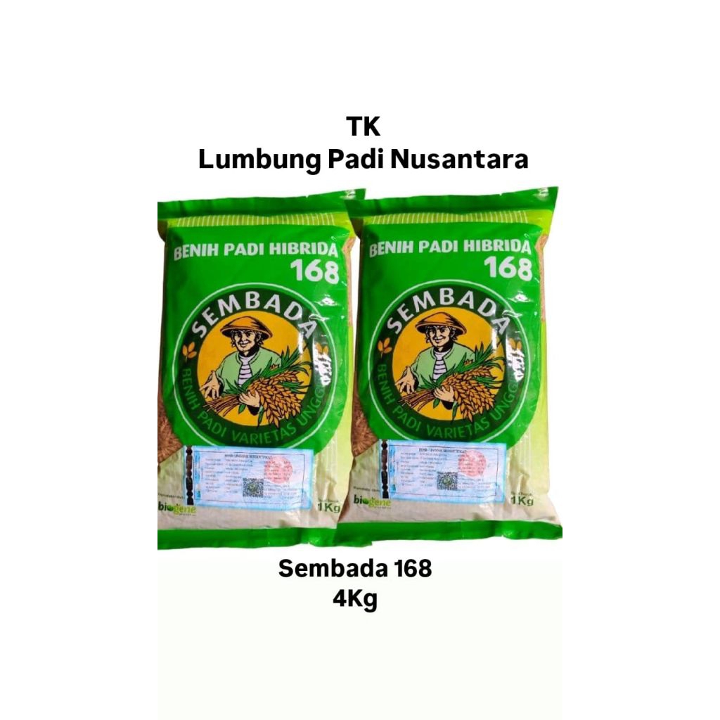 Sembada Benih Padi Hibrida 168 Varietas Unggulan 4 Kg untuk Hasil Panen Optimal dengan Akar Lebat Ba