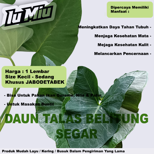 Daun talas Bogor/ fresh murah / bungkus buntil / masakan buntil segar lebar 1 lembar untuk pakan ika