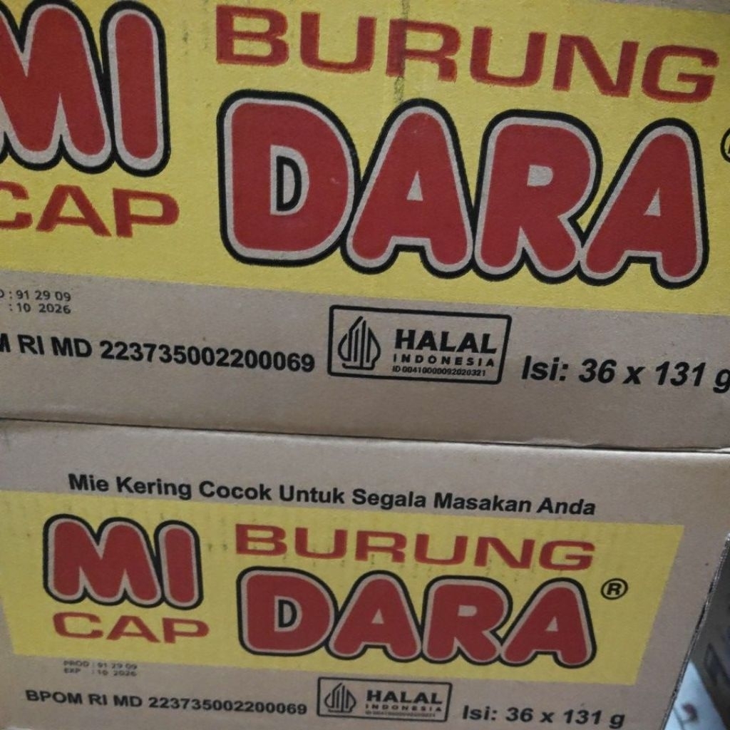 mi burung dara 1dus