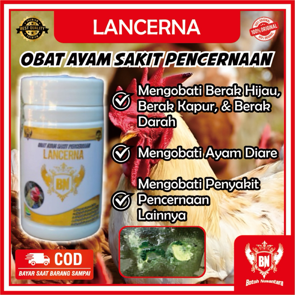 Obat Ayam Berak Hijau LANCERNA mengobati ayam kolera Berak Hijau Putih Kapur dan masalah Pencernaan 