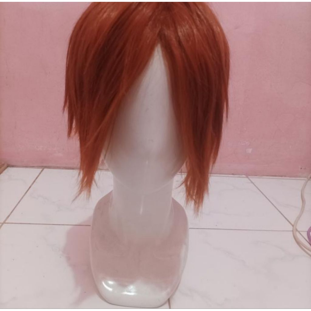 Wig Cosplay Anime