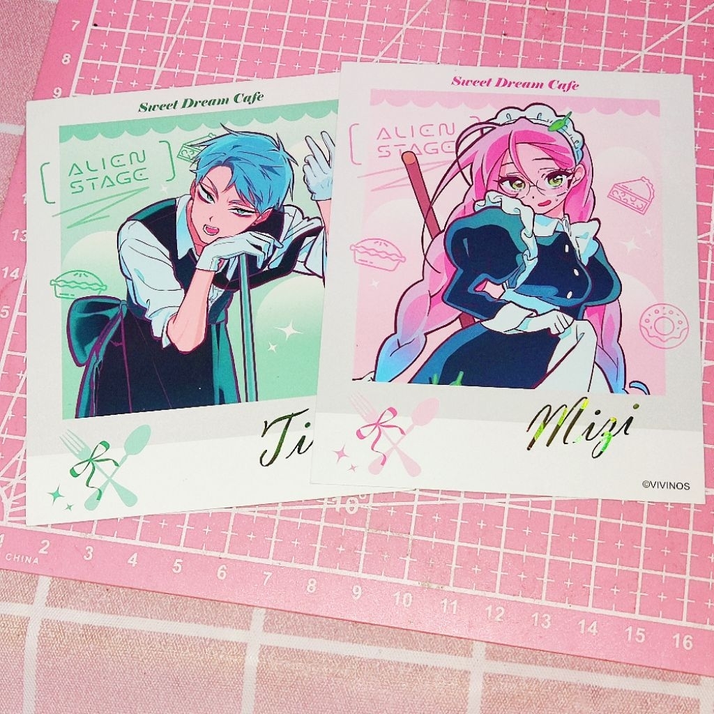 Merch Official Alien Stage Polaroid Till & Mizi