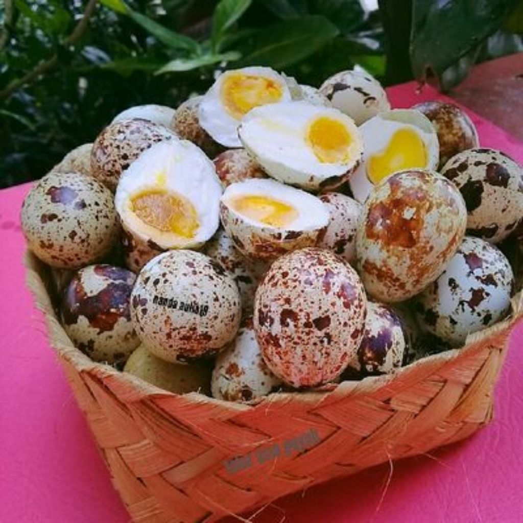 telur asin puyuh