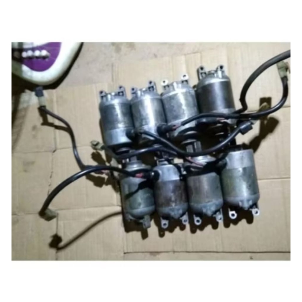 dinamo stater mio sporty mio soul lama