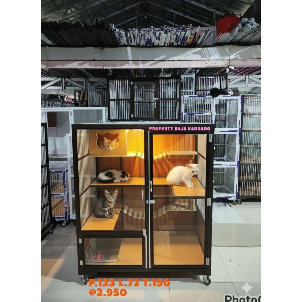 kandang kucing