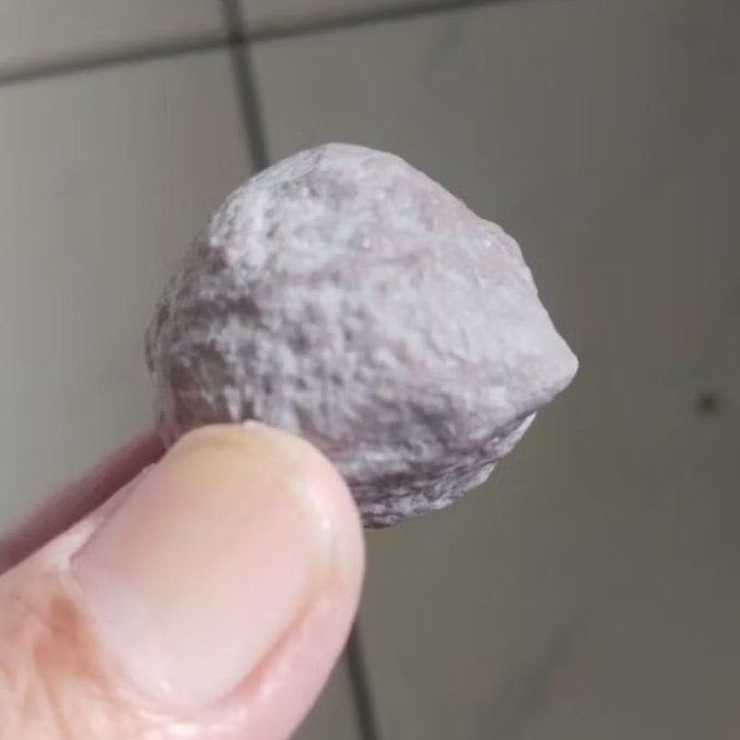 Kemiri Adu Muncang Adu Cariu Ori Tua Jatuhan