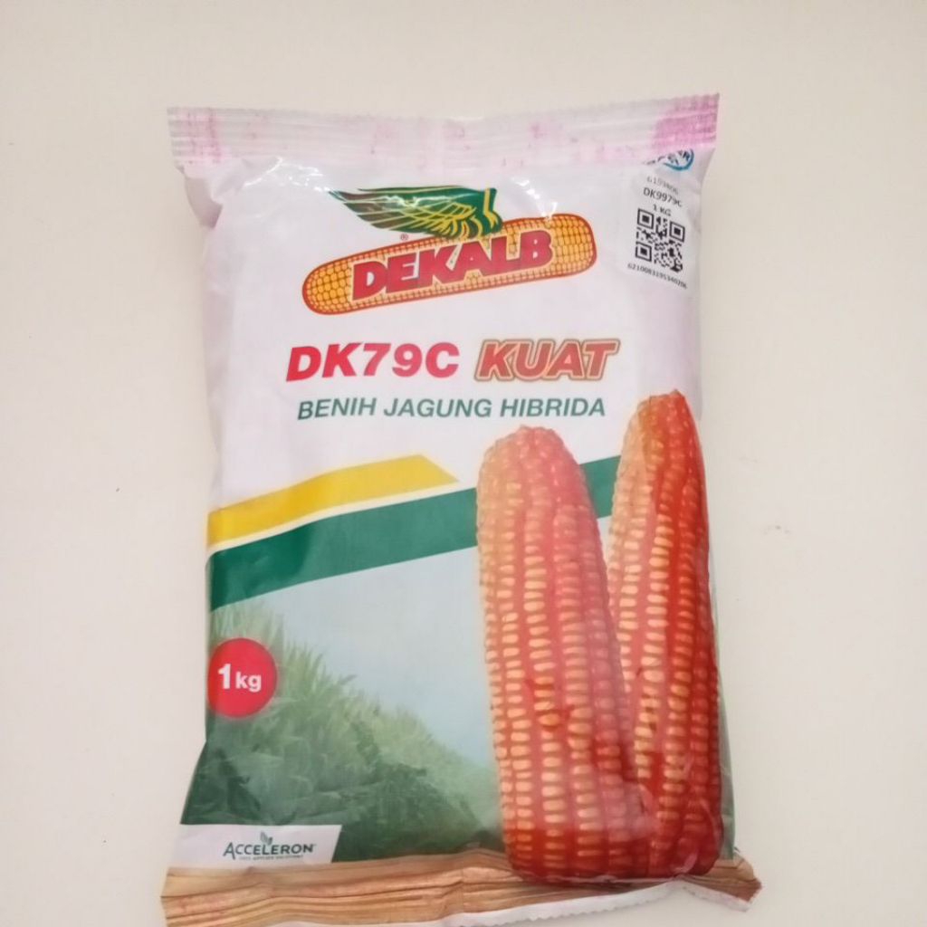 Benih Jagung Hibrida DEKALB DK79 KUAT - 1Kg