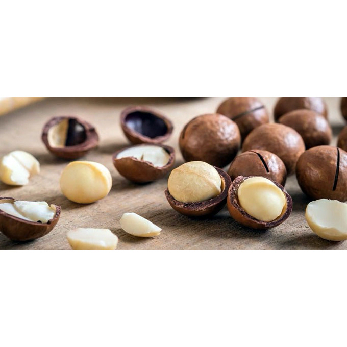 ROASTED KACANG MACADEMIA ( MATANG ) RASA CREAMY BETTER SUSU VANILA