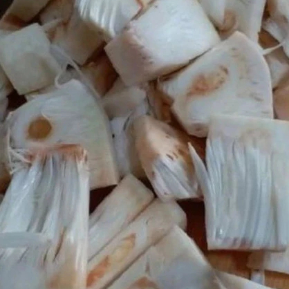 Sayur Nangka muda Tewel