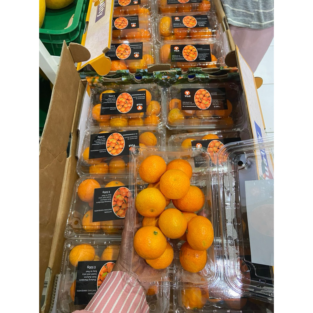 1 pack buah jeruk shantang mandarin pack burma mandarin daun import shantang daun santang birma shan