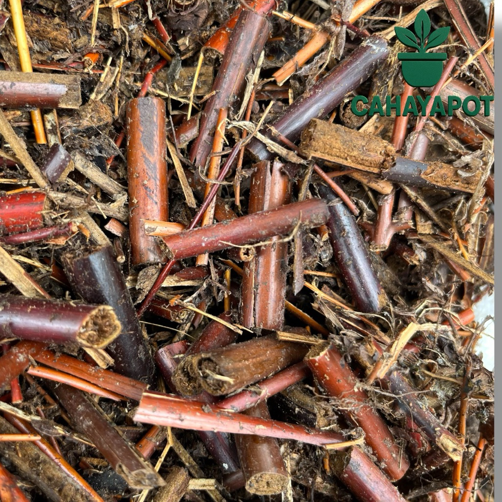 Media Tanam Andam Karungan  - Andam untuk campuran media tanam karungan