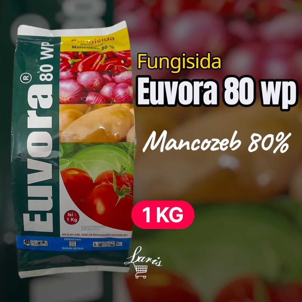 EUVORA 80 WP - 1 KG