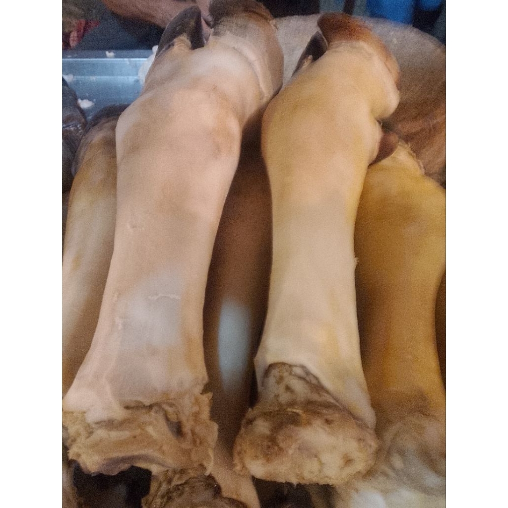 kikil kaki sapi baru 1kaki