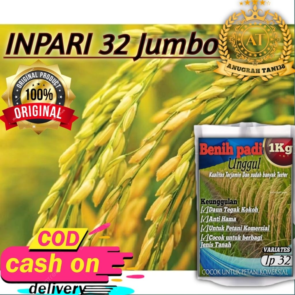 benih padi unggul Berkualitas Inpari32