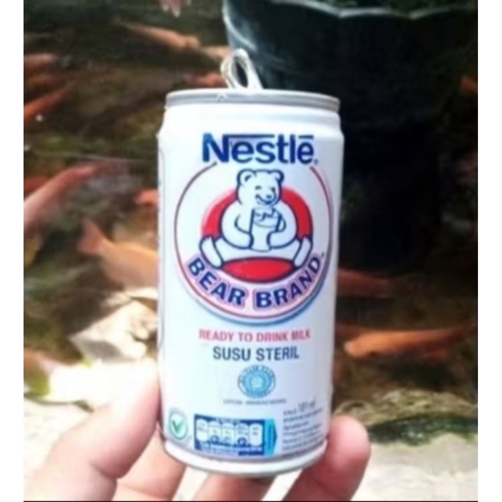 2 Pcs Kaleng Bear Brand Bekas Untuk Kerajinan + Dus + Bubble Wrap