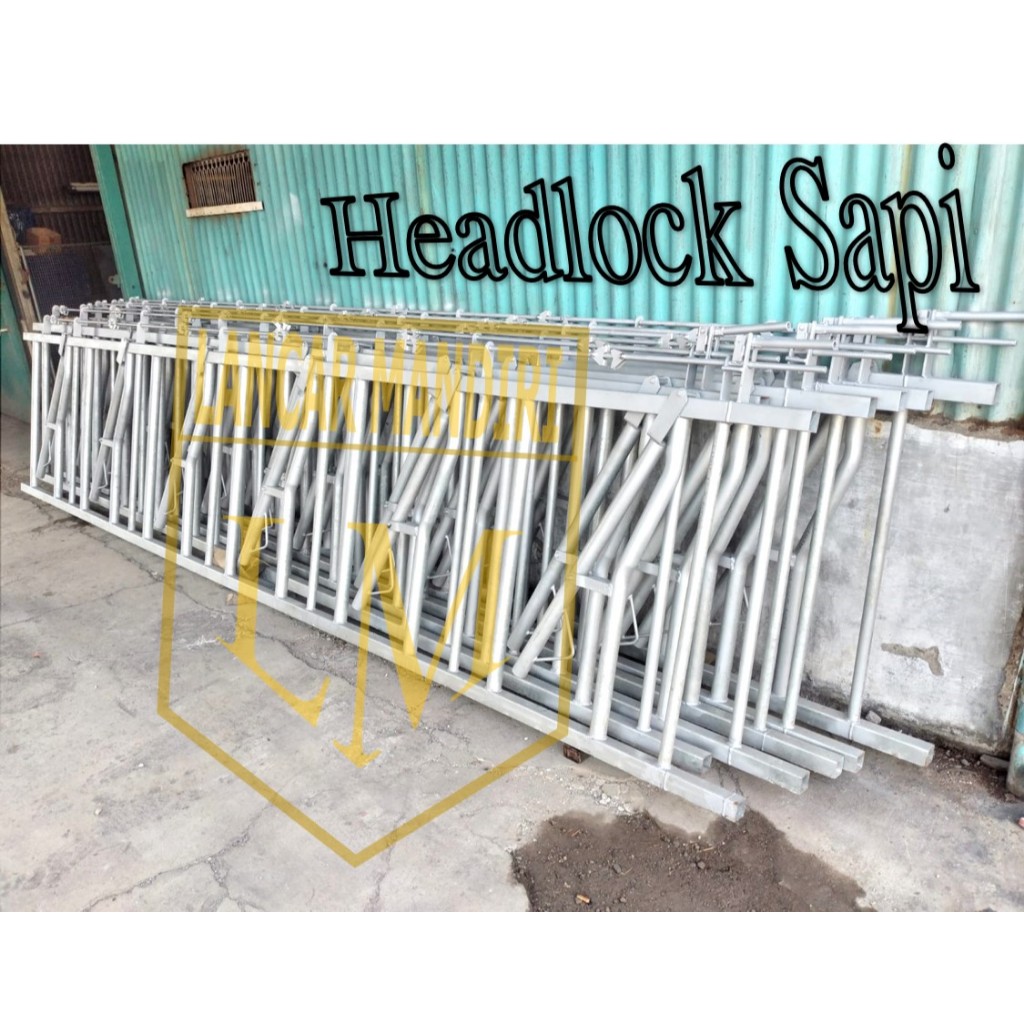 LM Headlock Sapi / Pengunci 5 Meter 6 Kepala / Head Lock Sapi