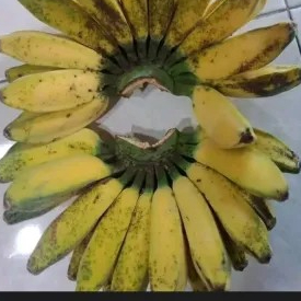 PISANG KEPOK 1 SISIR