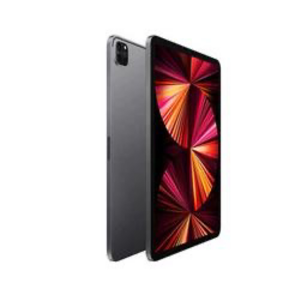 Preloved iPad Pro M1 11 inch - 512GB - Bonus Casing