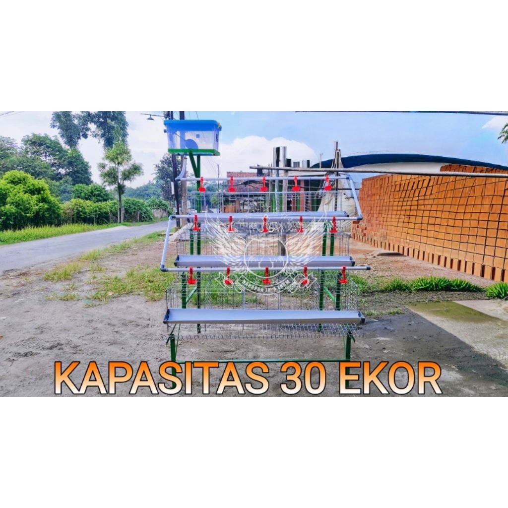 KANDANG AYAM PETELUR SUSUN 3 LENGKAP KANDANG LAYER FULL SET