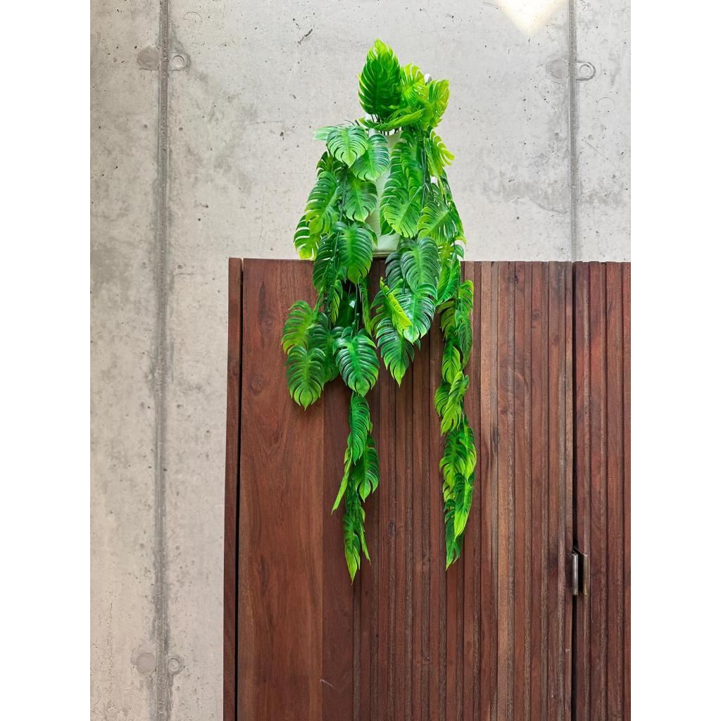 C9 Rambat Monstera / bunga rambat / daun rambat /daun monstera