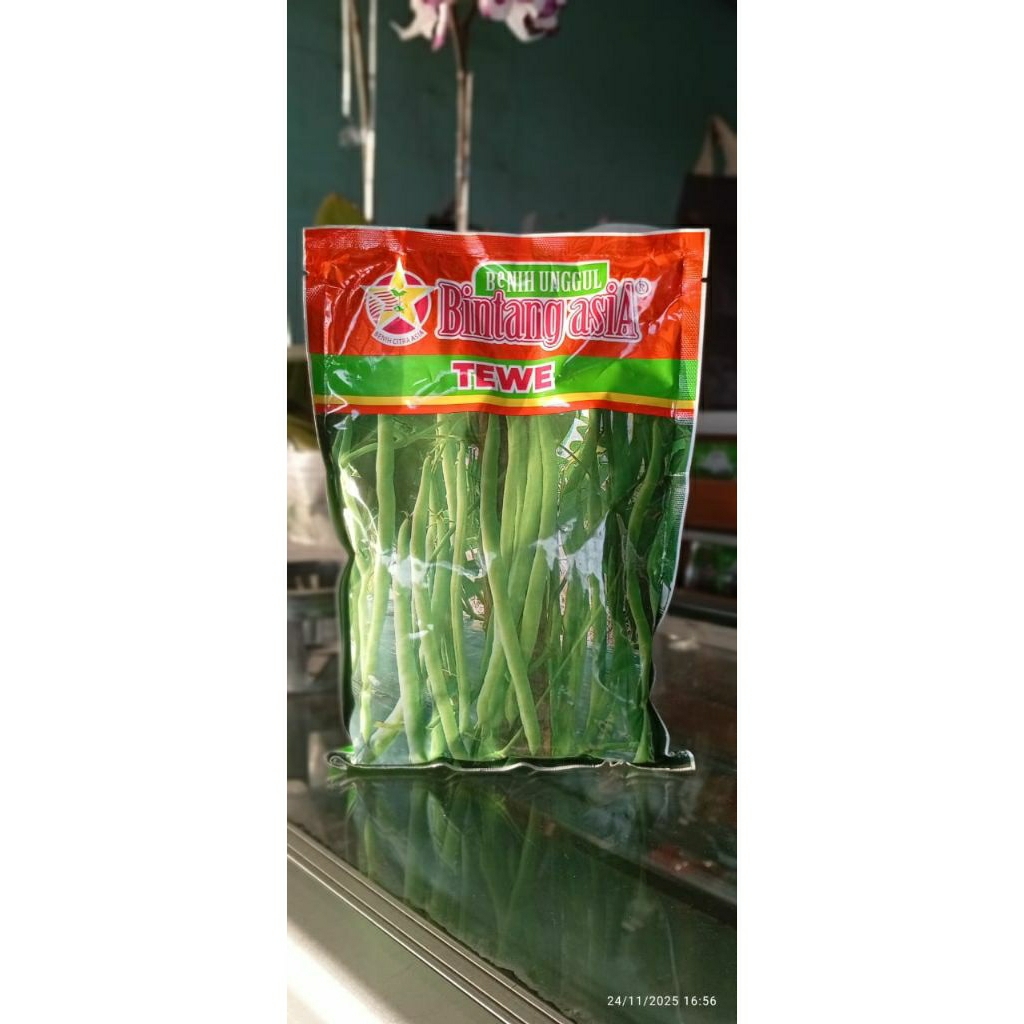 Buncis Tewe Bintang Asia