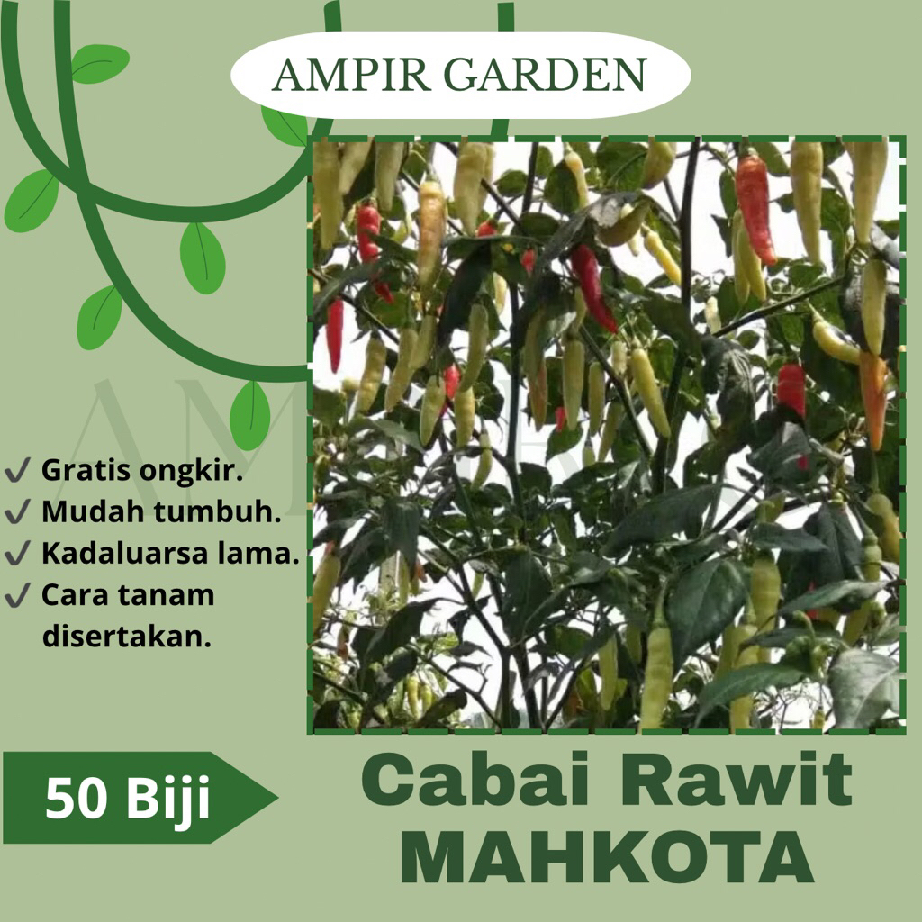 50 Biji Benih Cabai Rawit MAHKOTA / Cabe Rawit Merah Unggul - Bibit Sayur Sayuran Cabe Pedas