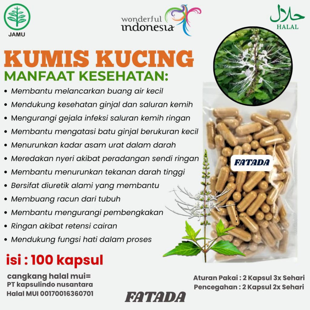 DAUN KUMIS KUCING KAPSUL DAUN KUMIS KUCING ISI  100 KAPSUL