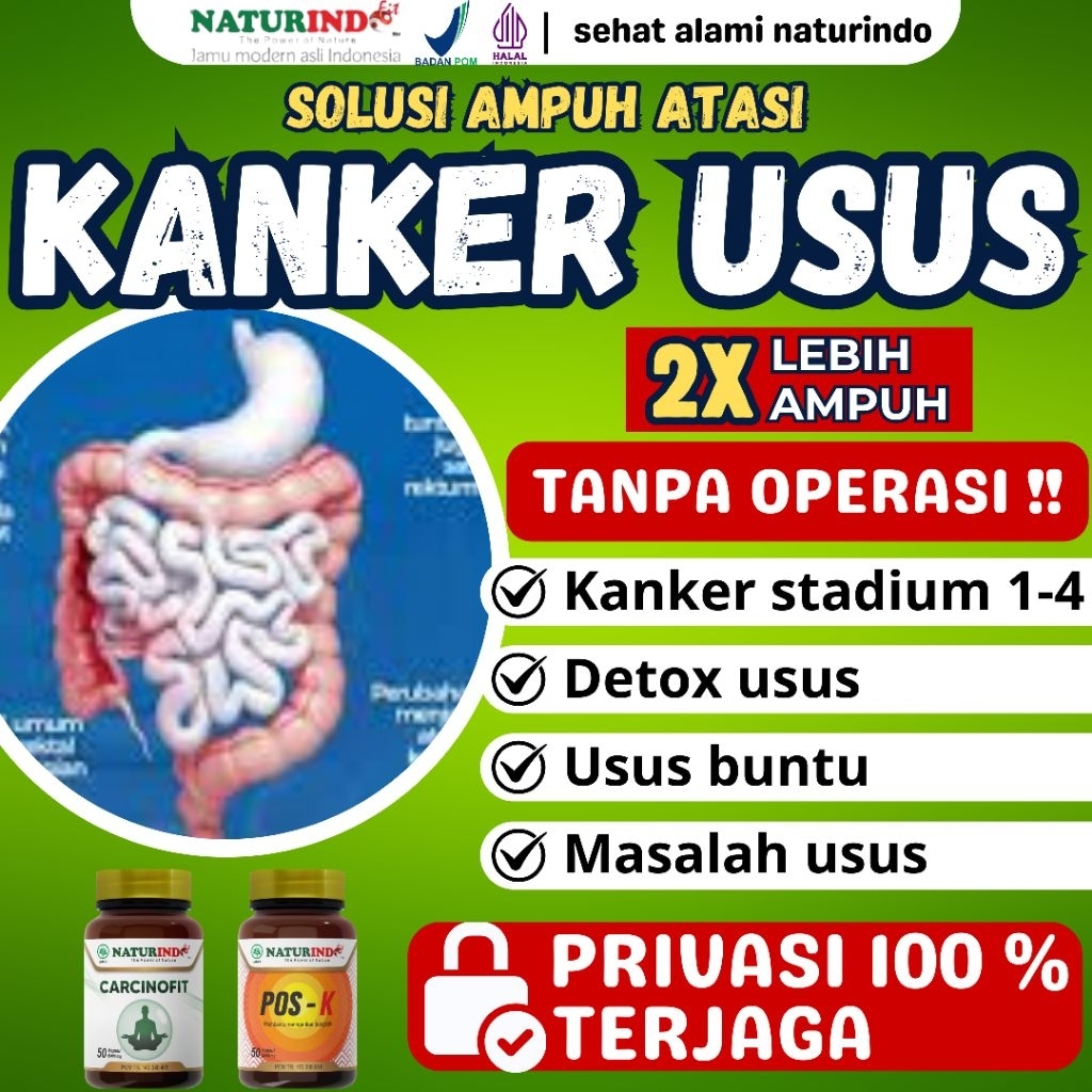 Obat Kanker Usus Besar Kolorektal Radang Usus Detox Usus Herbal Carcinofit Naturindo