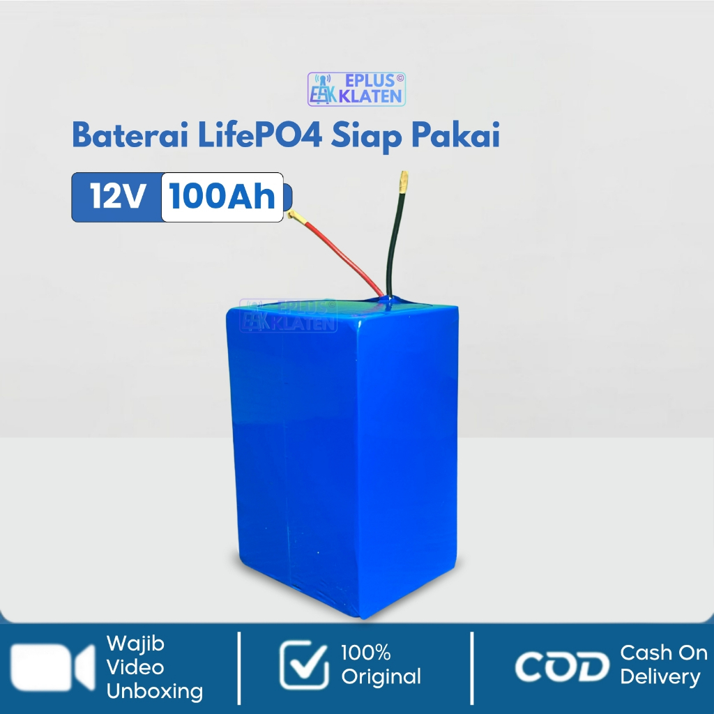 Beaded Bloom Battery Lifepo4 12V 100Ah 12 Volt + Bms Siap Pakai Baterai Cell Tinggi Setrum Pdc Pac