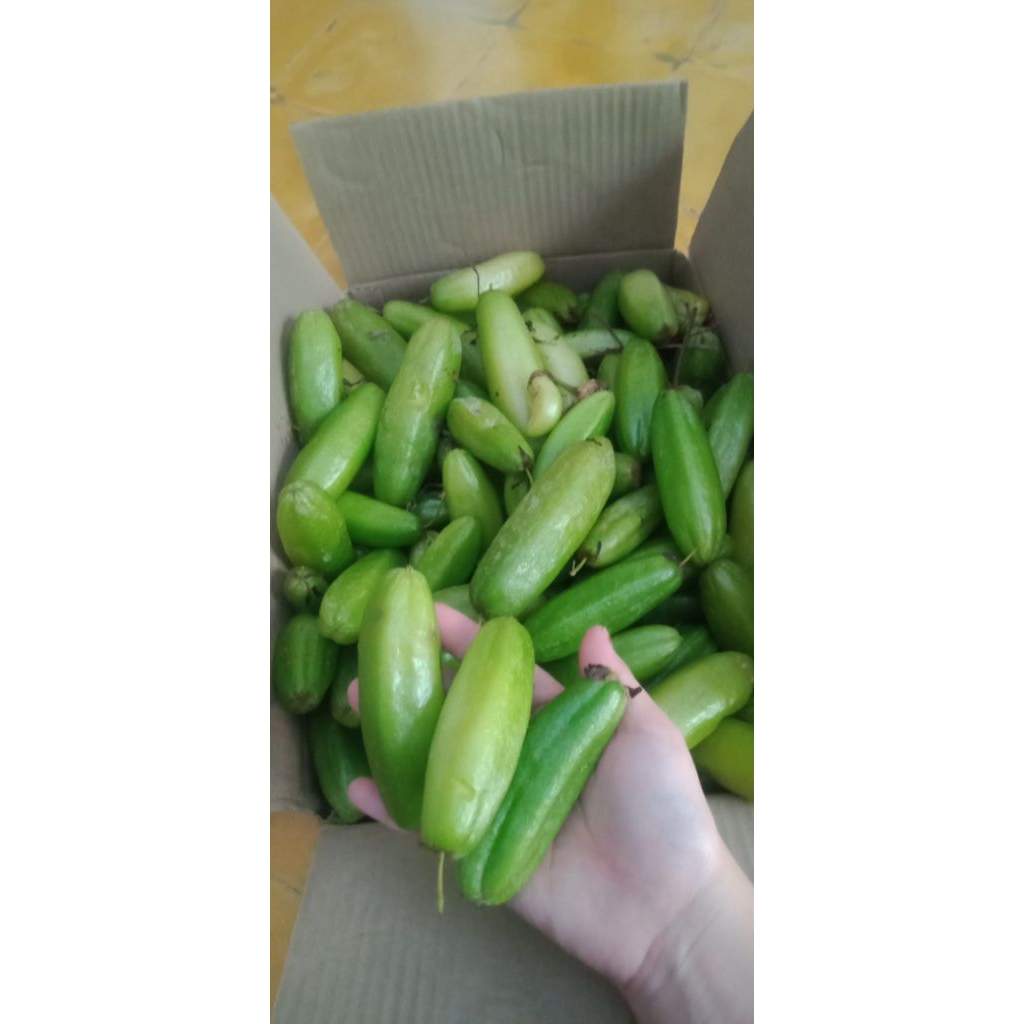 Belimbing wuluh 1kg