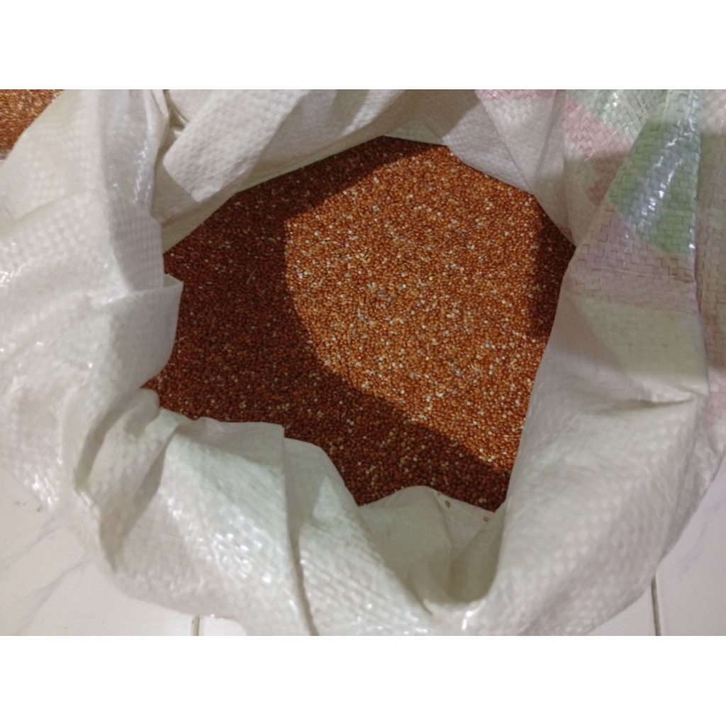 Milet merah Pakan Burung Lovebird Pakan burung Falk Pakan burung Parkit