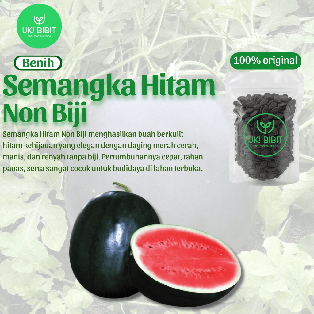 ( 5 Butir ) Benih Biji Semangka Non Biji Hitam