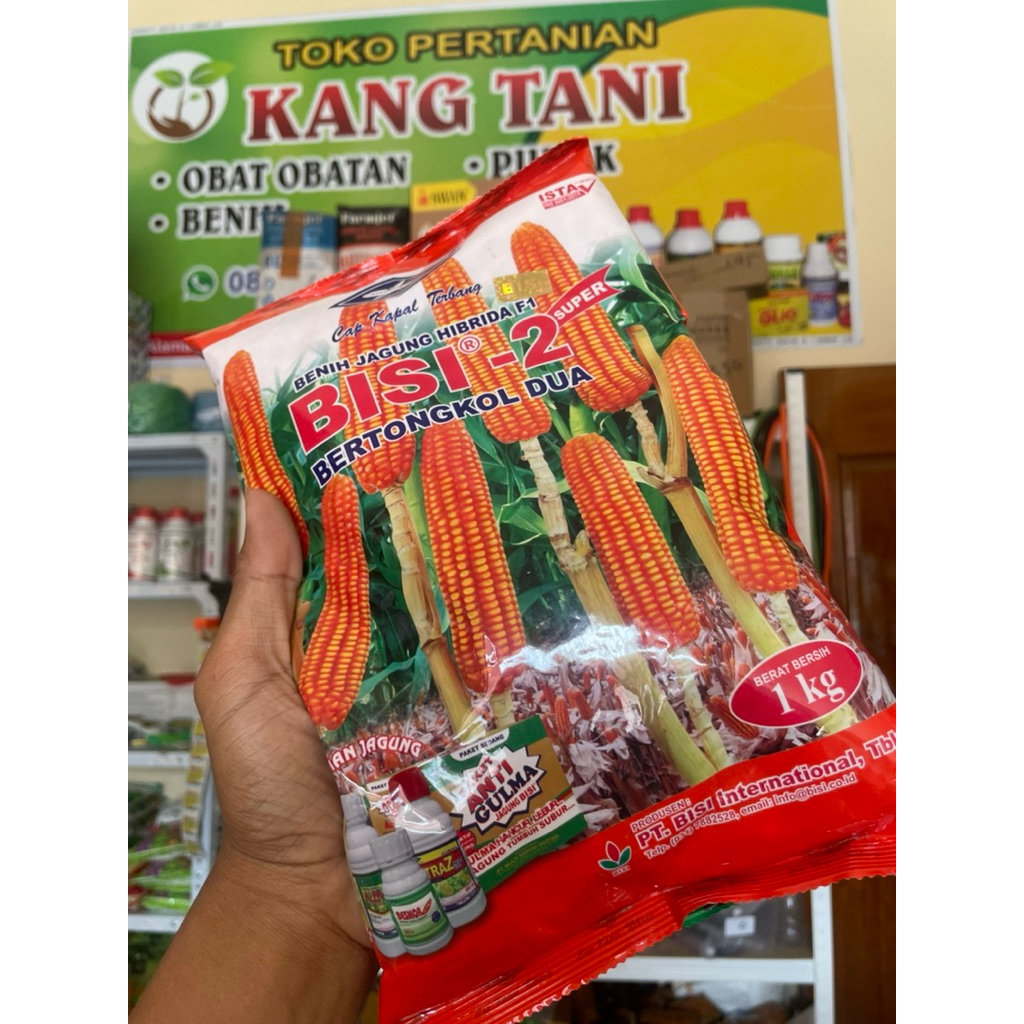 Benih JAGUNG BISI 2 SUPER BERTONGKOL 2 1KG