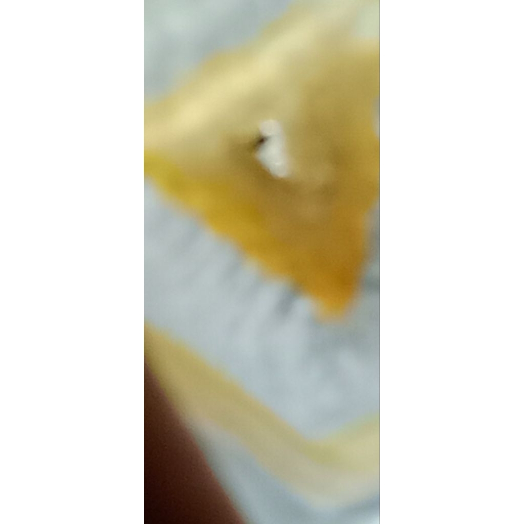 batu akik combong serambut asli alam kode 602