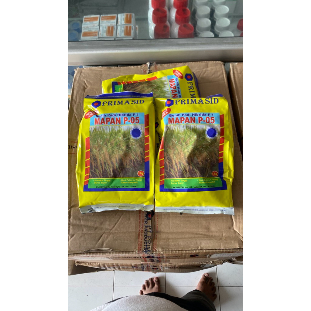 BENIH PADI HIBRIDA F1 MAPAN P-05