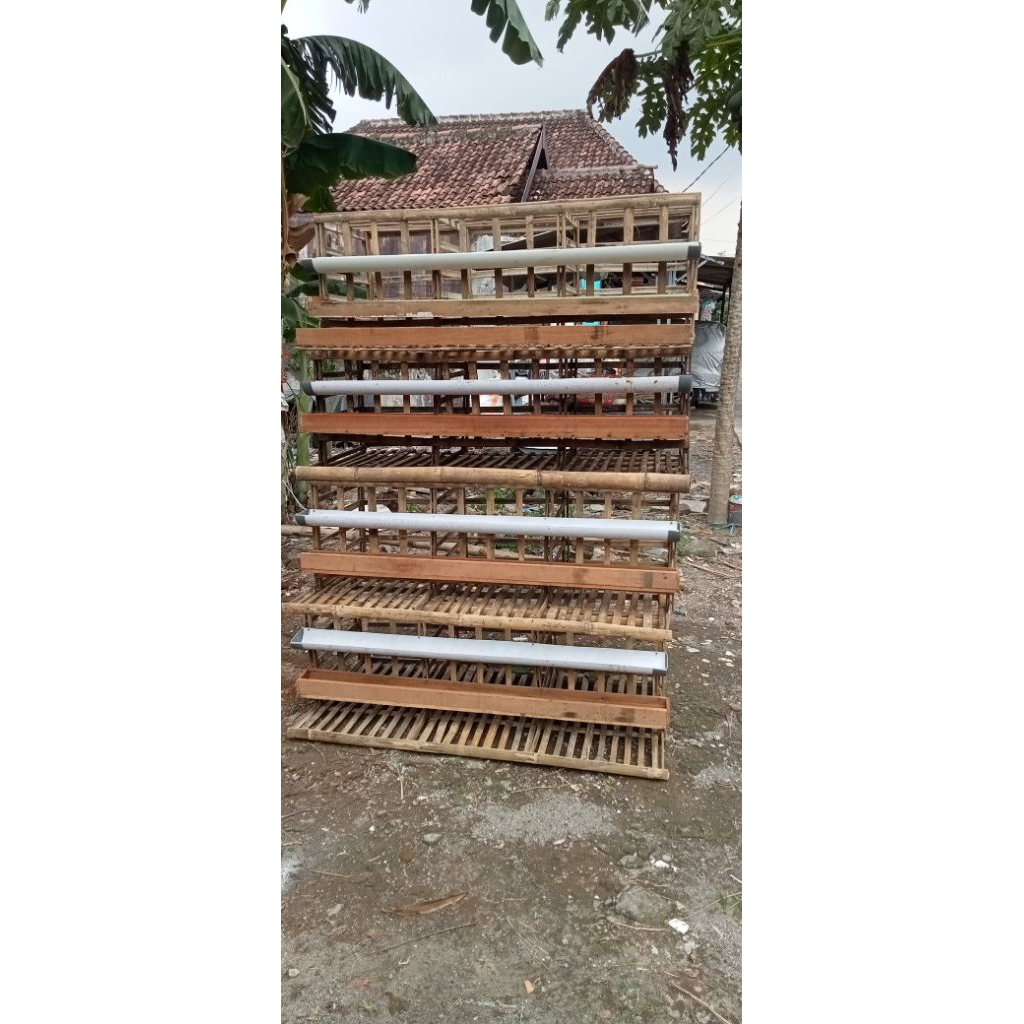 kandang ayam petelur/ batre