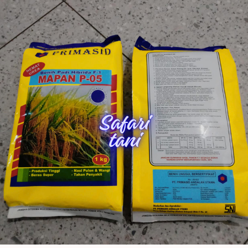 benih bibit padi mapan p-05 primasid hibrida