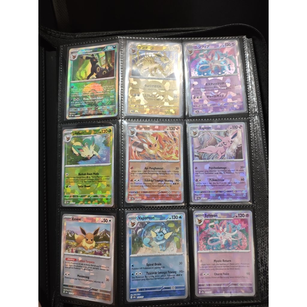 Set Pokeball Eeveelutions Terastal Festival