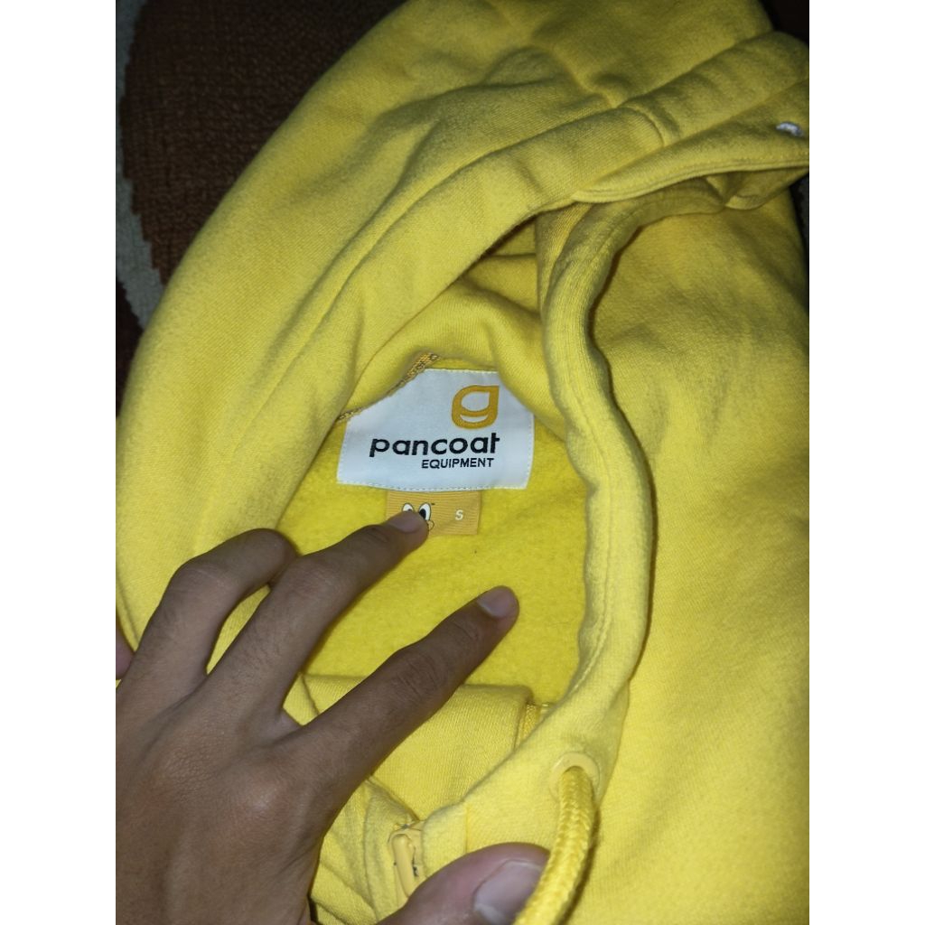 hoddie zipper pancoat