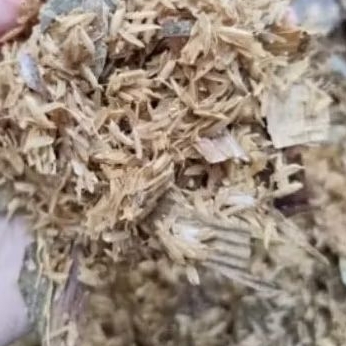 Humus daun bambu campur Sekam mentah kemasan karung beras 5kg