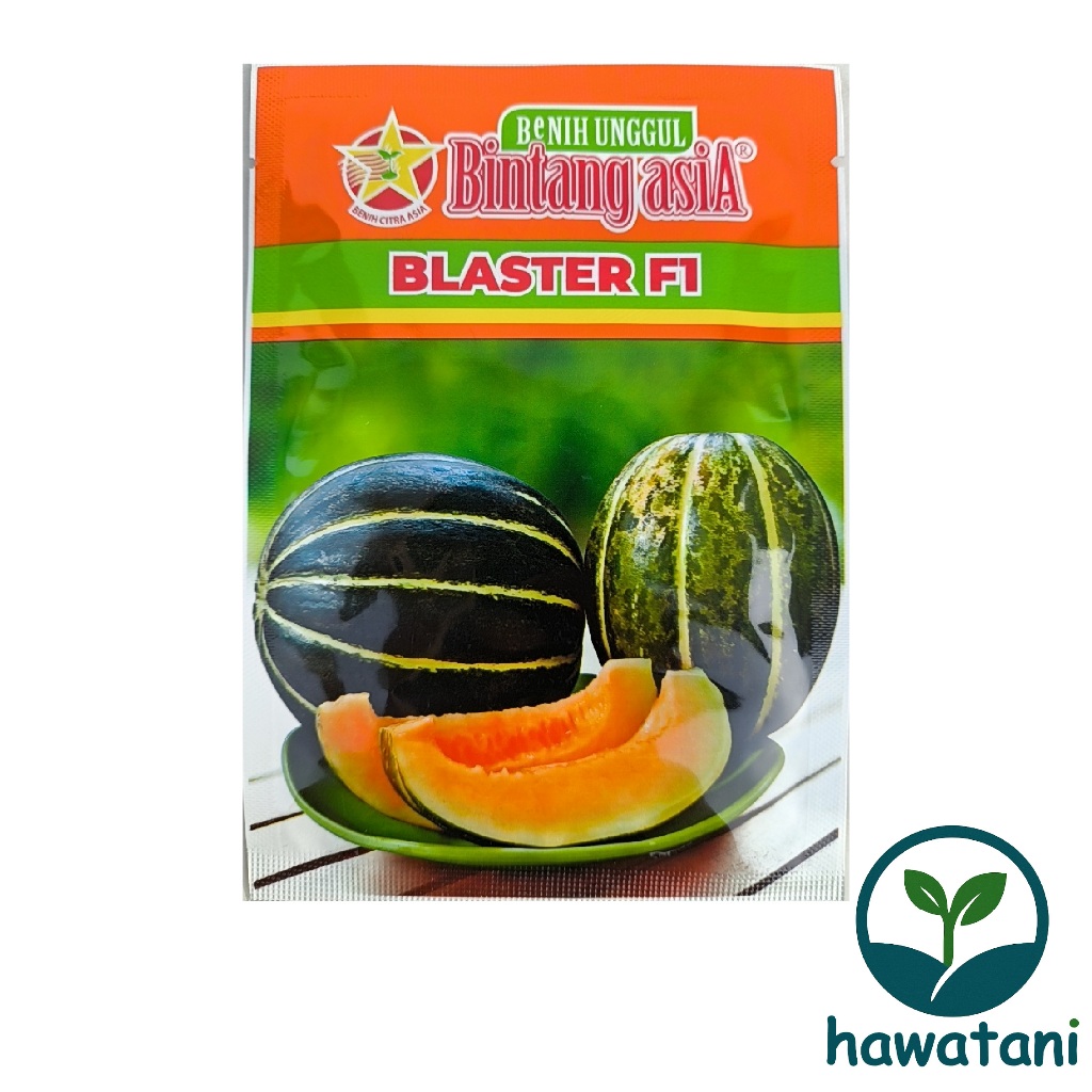 Benih Blewah BLASTER F1 15 gram - Bintang Asia