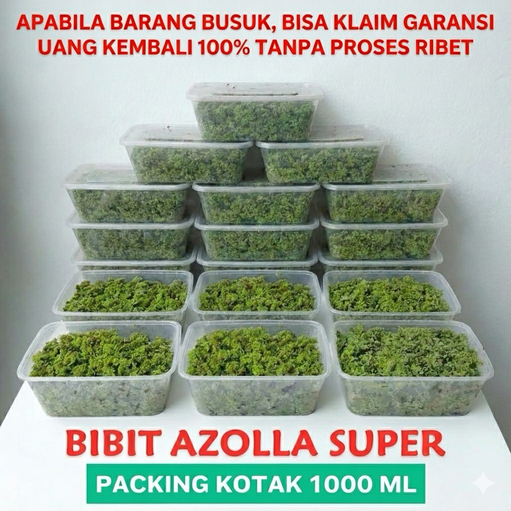 { -1Box 1000ml } Azolla Air Super Pack 1000ml (1 Liter) - Pakan Ikan Nila Lele Bebek / Starter Bibit